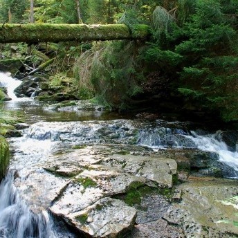 Water, River, Okersee