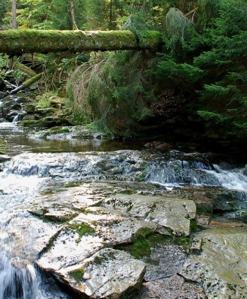 Water, River, Okersee