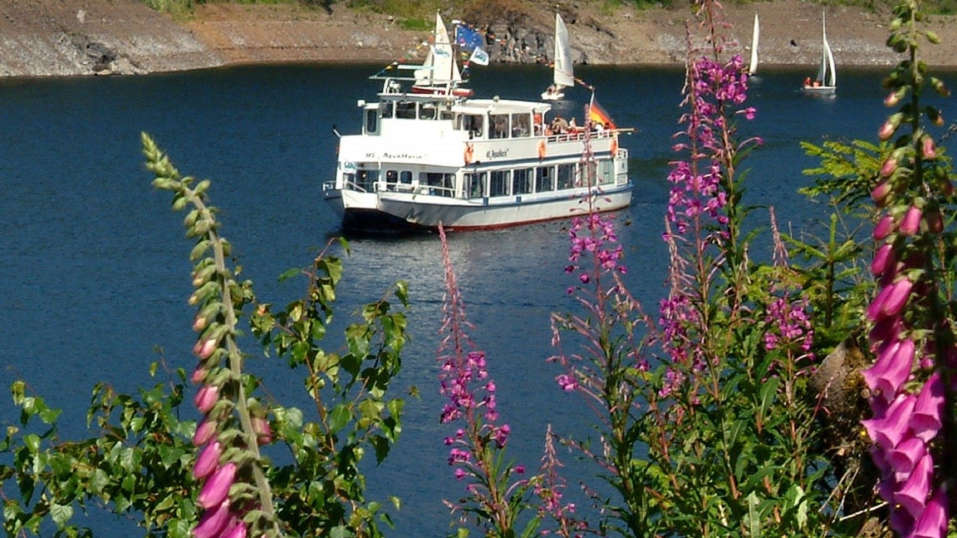 MS AquaMarin 5