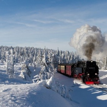 Snow in the harz-mountains